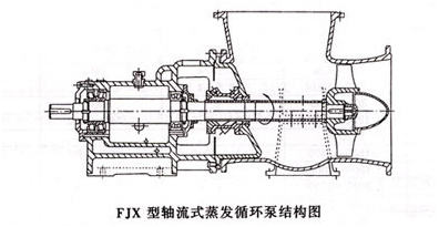 强制循环泵1-1.jpg